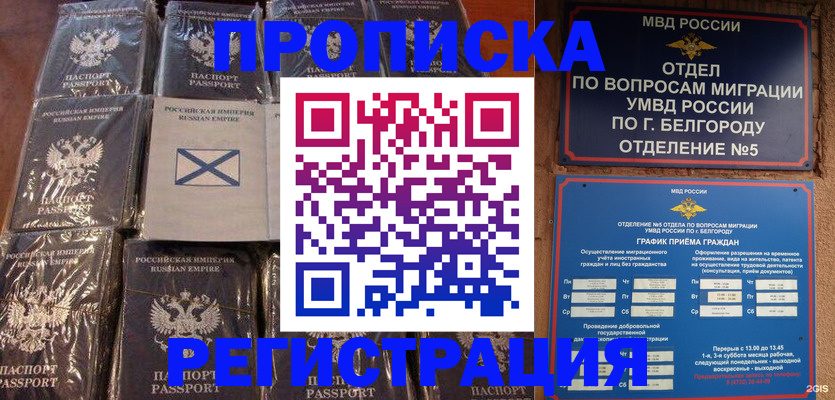 прописка гарантия в Кольчугино